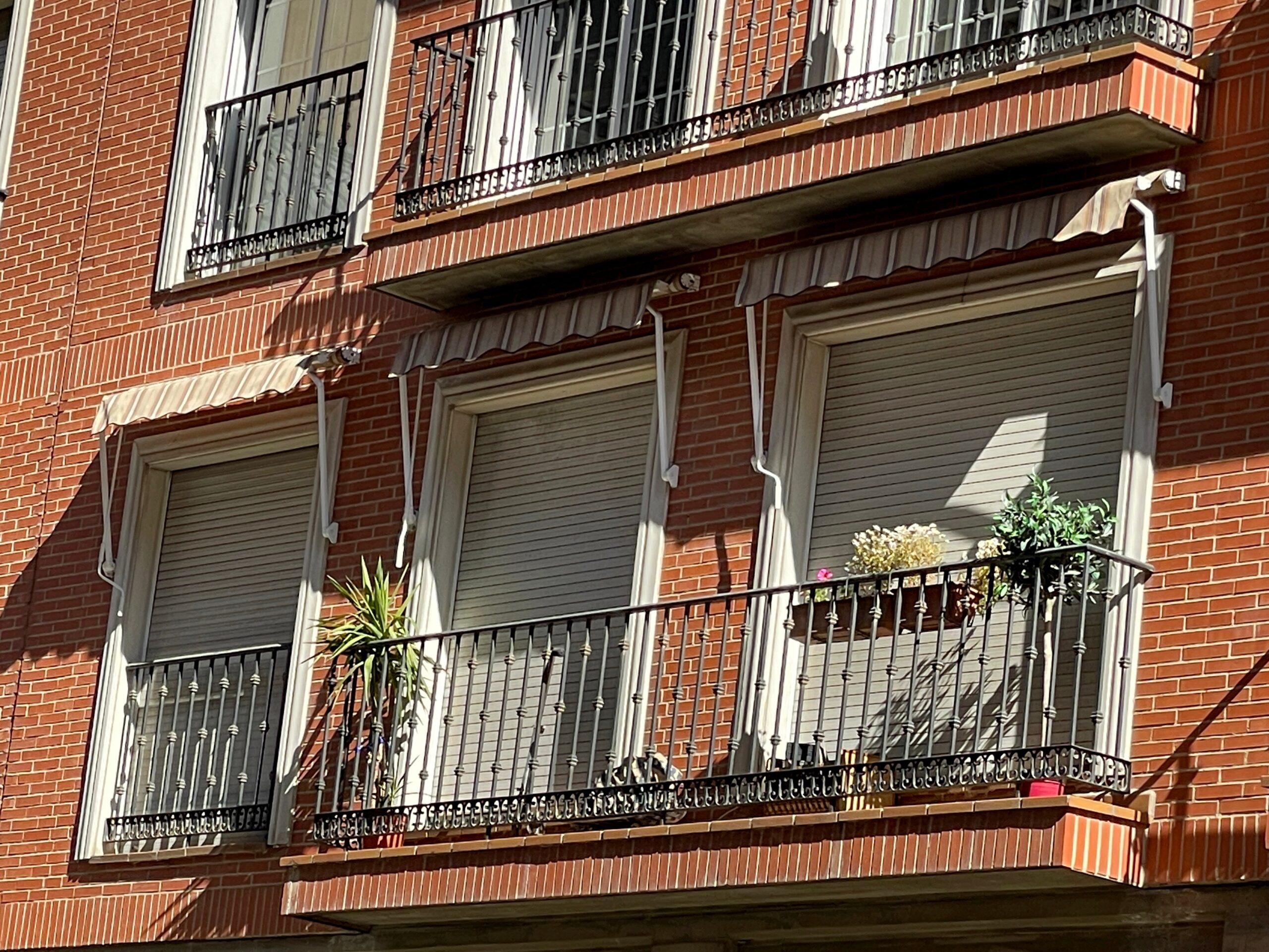 Four windows on a brick building with closed roller shutters and decorative balconies. Each balcony has potted plants, including green foliage and flowers, under white striped awnings.